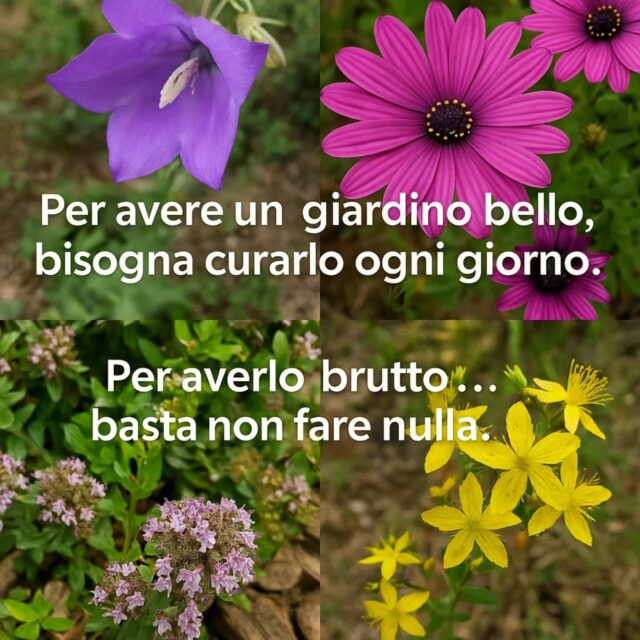#forestgarden #bellezzanaturale #giardinoterapia #biodiversità #giardinorigenerativo
#armonianellospazio #naturaincontaminata #spiritualgarden #slowtourism #luoghidellanima
#oasidelbelvivere #ecodesign #permacultura #ecoturismo #wildflowers #liguria #campinglife