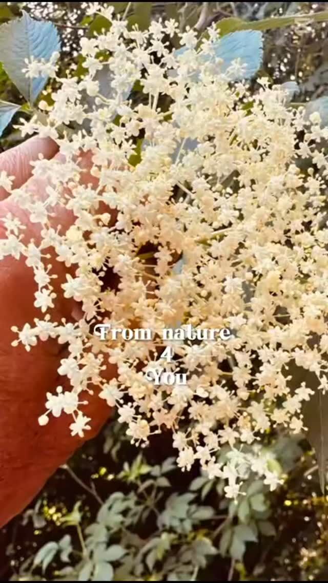 Publication 17906414685113200 Instagram