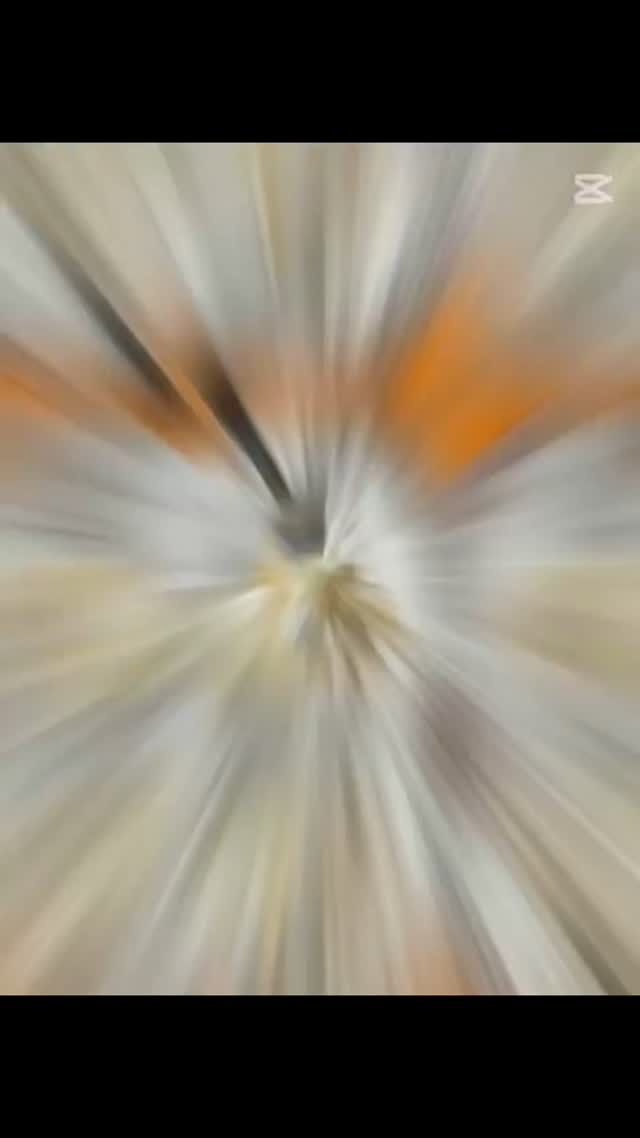 Publication 18054501851024271 Instagram