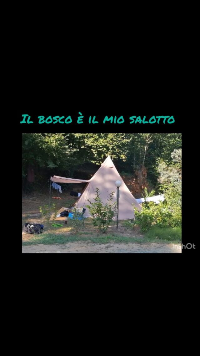 Qui tutto nasce da un’azienda agricola che, senza saperlo, è diventata parte di un vero forest garden: un ecosistema dove coltivato e spontaneo convivono in armonia.
Lo chiamano il top della sostenibilità — lo studiano nei corsi di agraria, ma qui succede per amore. E per caso.

C’è chi parla di biodiversità, io la ascolto mentre preparo il caffè.
E tu? Vuoi origliare anche tu?

#forestgarden #agricamping #belvivere #vitaallariaaperta #oasidibelvivere #campeggionaturale #slowcamping #vacanzenatura